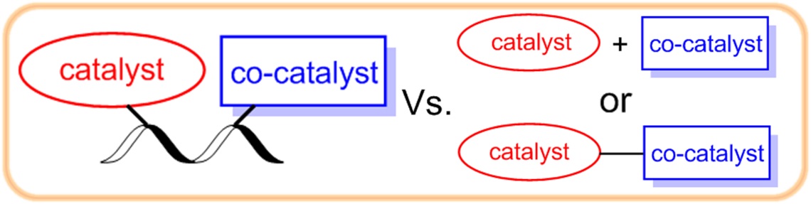 Cooperative catalysis