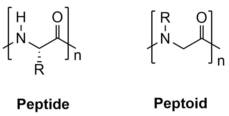 peptide-peptoid