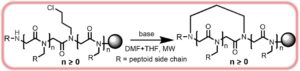 A facile strategy for the construction of cyclic peptoids under MW irradiation through a simple substitution reaction